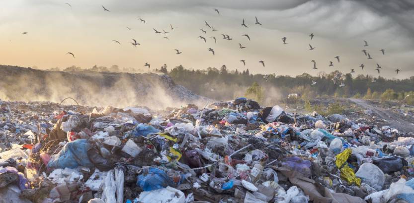 i rifiuti creano problematiche all'ambiente